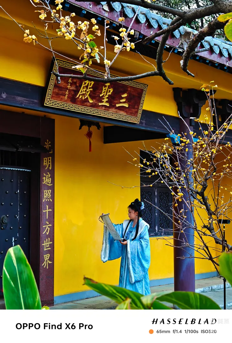 西山公园&法藏禅寺